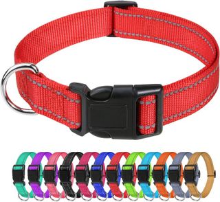 Top 10 Dog Collars for Ultimate Pet Safety- 5