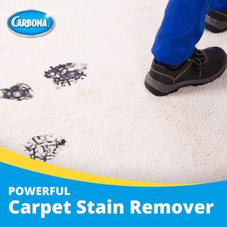 No. 4 - Carbona Oxy-Powered 2-in-1 Carpet Cleaner - 4