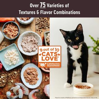 No. 7 - Wellness CORE Tiny Tasters Wet Cat Food Topper - 2
