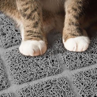 No. 9 - Niubya Cat Litter Mat - 4