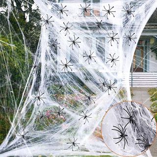 No. 6 - Labrostar Spider Web Decoration - 1