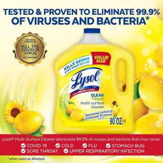 No. 10 - Lysol Multi-Surface Cleaner - 2