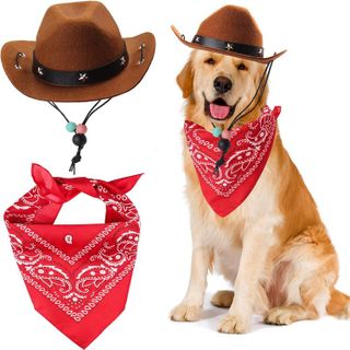 Top 10 Best Dog Bandanas for Stylish Pets- 5