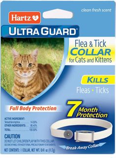 10 Best Cat Flea Collars in 2021- 2