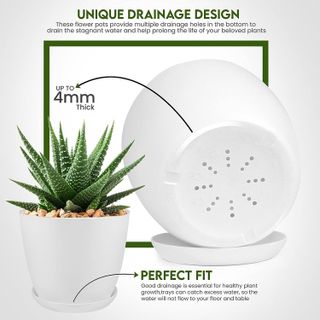 No. 2 - Utopia Home Plant Pots with Drainage - 3