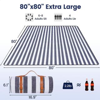 No. 5 - sapsisel 80”x 80” Picnic Blanket - 2