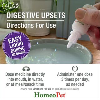 No. 4 - HomeoPet Feline Digestive Upsets - 5