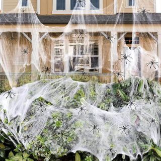 No. 10 - DUXAA Spider Web - 1