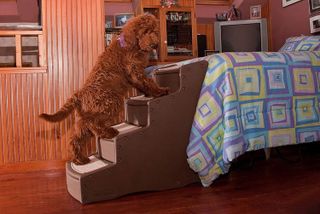 No. 5 - Pet Gear Easy Step IV Pet Stairs, 4 Step - 2