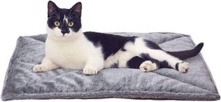 Top 10 Best Cat Beds for a Cozy and Comfortable Rest- 5