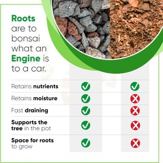 No. 6 - Tinyroots Bonsai Soil - 3