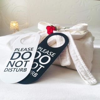 No. 9 - Do Not Disturb Door Hanger Sign 2 Pack - 3