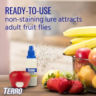 No. 3 - Terro T2503SR Indoor Fruit Fly Killer and Trap - 3