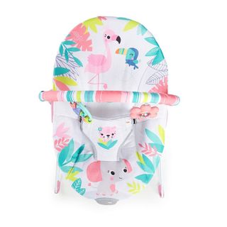 No. 10 - Bright Starts Baby Bouncer - 4