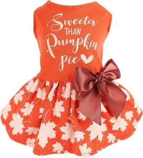 No. 2 - Fitwarm Thanksgiving Sweeter Than Pumpkin Pie Dog Dress - 1