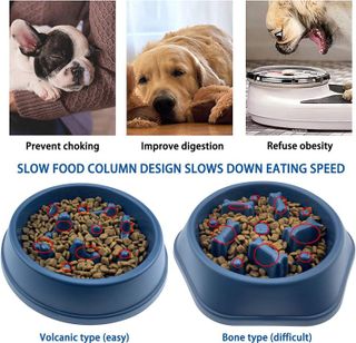No. 5 - CAISHOW Slow Feeder Dog Bowl - 3