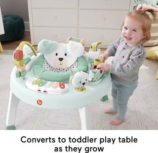 No. 10 - Fisher-Price 3-in-1 SnugaPuppy Activity Center - 4