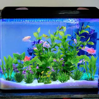 No. 1 - PietyPet Aquarium Décor Plastic Plants - 5