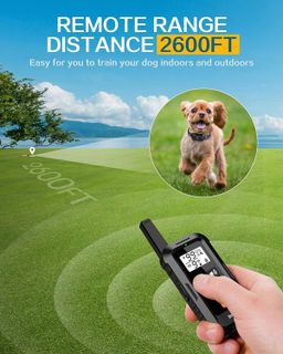 No. 7 - Dog Shock Collar with Remote - 3