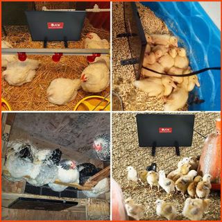 No. 5 - PETNF Chicken Coop Heater - 5