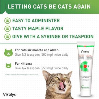 No. 6 - Vetoquinol Viralys Gel L-Lysine Supplement for Cats - 4