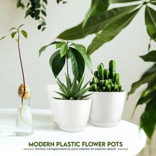 No. 2 - Utopia Home Plant Pots with Drainage - 5