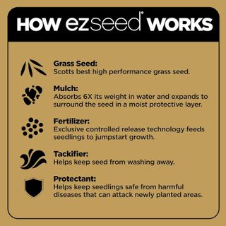 No. 2 - Scotts EZ Seed - 5