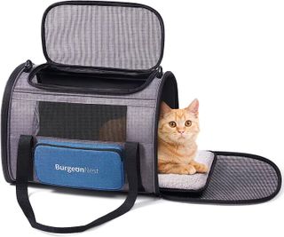 Top 10 Best Cat Carriers for Travel and Veterinary Visits- 5