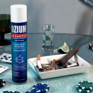 No. 6 - Ozium Air Sanitizer - 4