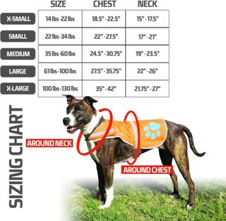 No. 5 - SafetyPUP XD Reflective Dog Vest - 2