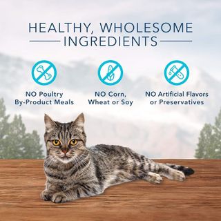 No. 1 - Blue Buffalo Wilderness Grain Free Soft-Moist Cat Treats - 4