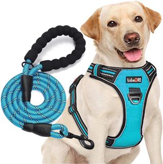 No. 9 - tobeDRI No Pull Dog Harness - 1