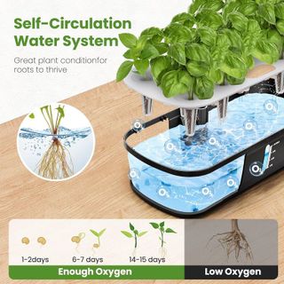 No. 5 - CYBSDF Hydroponic Growing Kit - 5