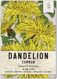 No. 8 - Seed Needs Dandelion Herb Seeds - 1