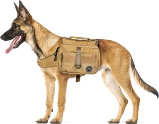 Top 10 Dog Backpacks for Your Canine Companion- 3