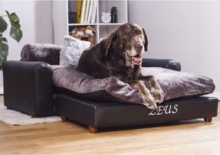 No. 2 - Moots Customizable Premium Leatherette Pets Sofa - 1