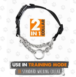 No. 8 - Mighty Paw Martingale Dog Collar 2.0 - 3