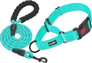 Top 10 Best Martingale Collars for Dogs- 4