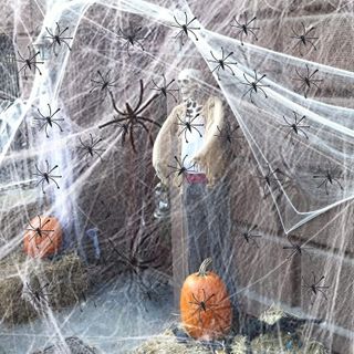No. 6 - Labrostar Spider Web Decoration - 2