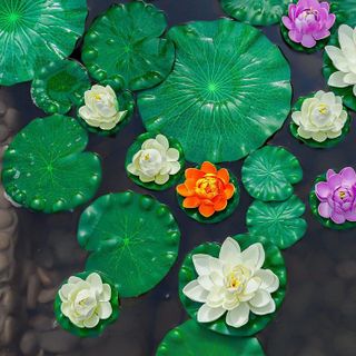 No. 4 - WhistenFla Lily Pads - 4