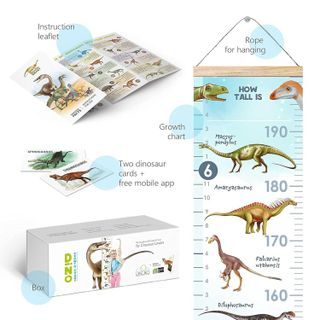 No. 7 - Dinosaur Growth Chart - 4