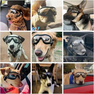 No. 6 - NAMSAN Dog Sunglasses - 2