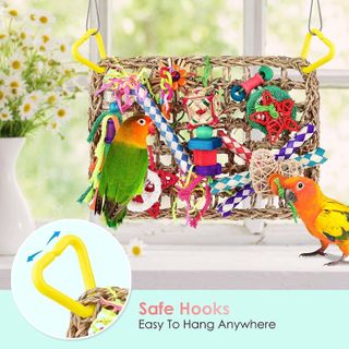 No. 4 - KATUMO Bird Foraging Wall Toy - 5