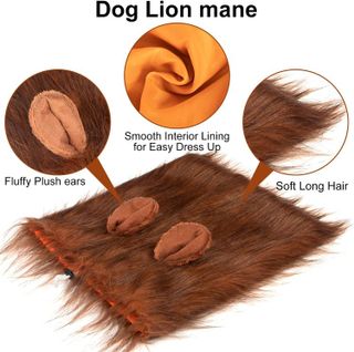 No. 10 - Lion Mane Dog Costume - 4
