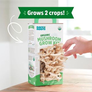 No. 4 - Back to the Roots Organic Oyster Mushroom Grow Kit - 3