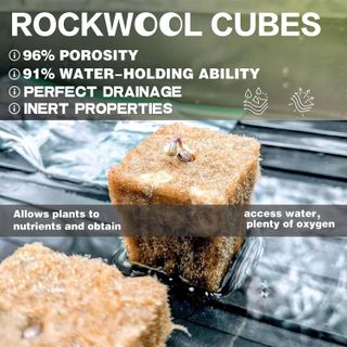 No. 4 - CastleGreens Hydroponic Rockwool Cubes - 2