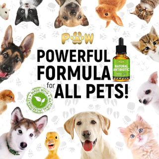 No. 6 - Golden Paw Herbal Supplement - 5