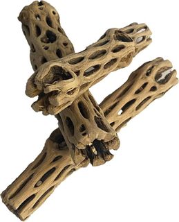 No. 2 - Awesome Aquatic Natural Cholla/Choya Wood - 2