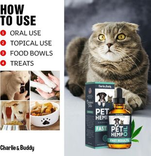 No. 1 - Charlie & Buddy Pet Hemp Oil - 3