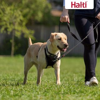 No. 9 - Halti No Pull Dog Harness - 4